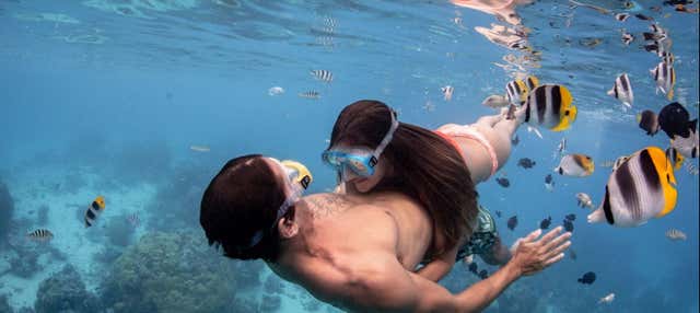 Bora Bora in 4x4 + Snorkeling con gli squali