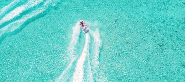 Moto d'acqua + Snorkeling con squali e razze