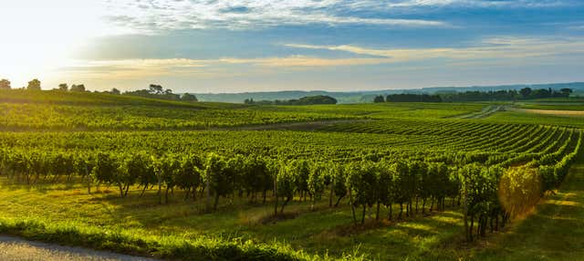 Visita a una cantina di Graves e Entre-deux-Mers con degustazione di vino