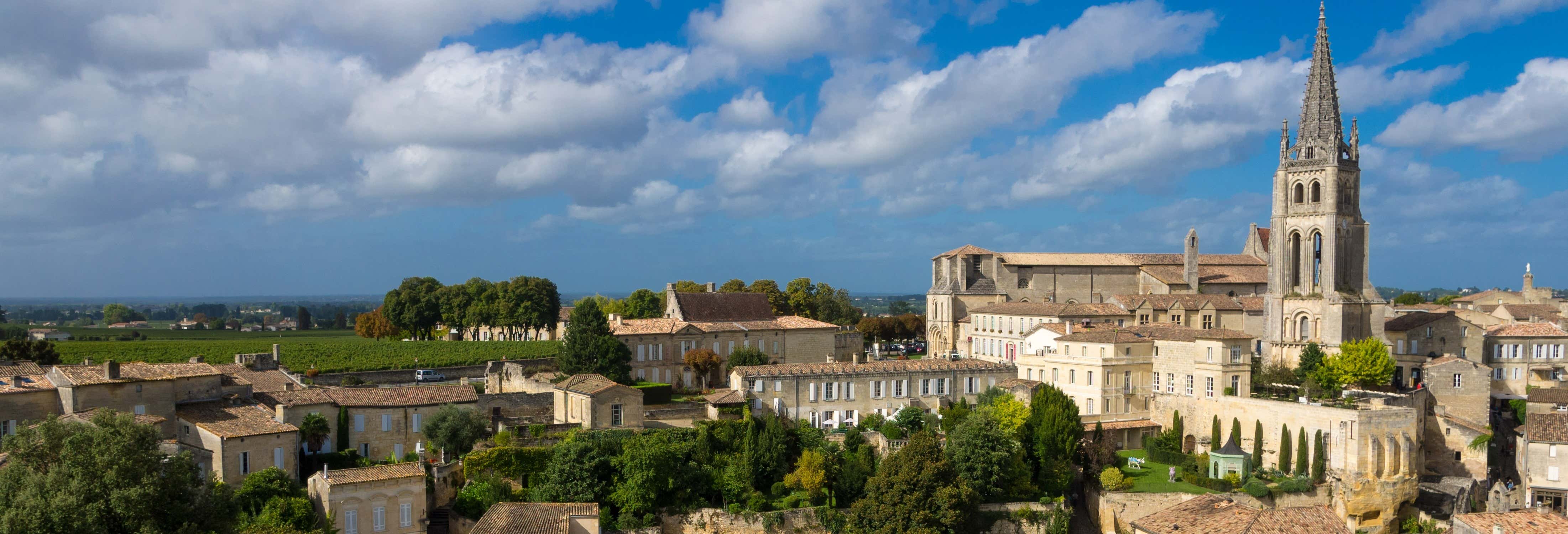 Excursión privada a Saint-Émilion