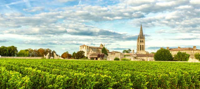 Tour dei vigneti di Saint-Emilion in bicicletta