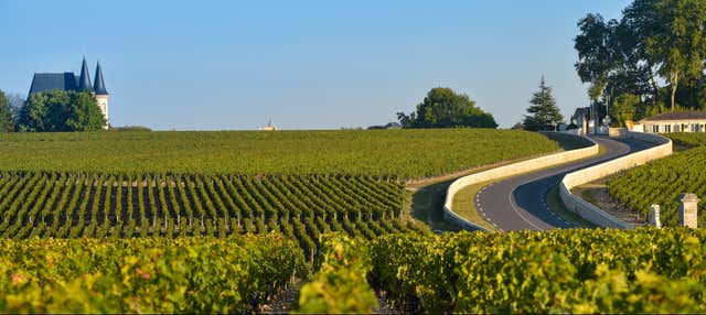 Tour della regione di Médoc con degustazione di vino