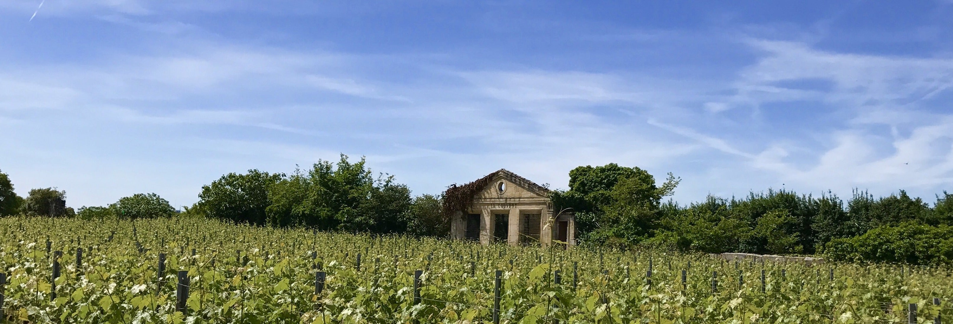 Tour de vinhedos e adegas por Saint-Émilion