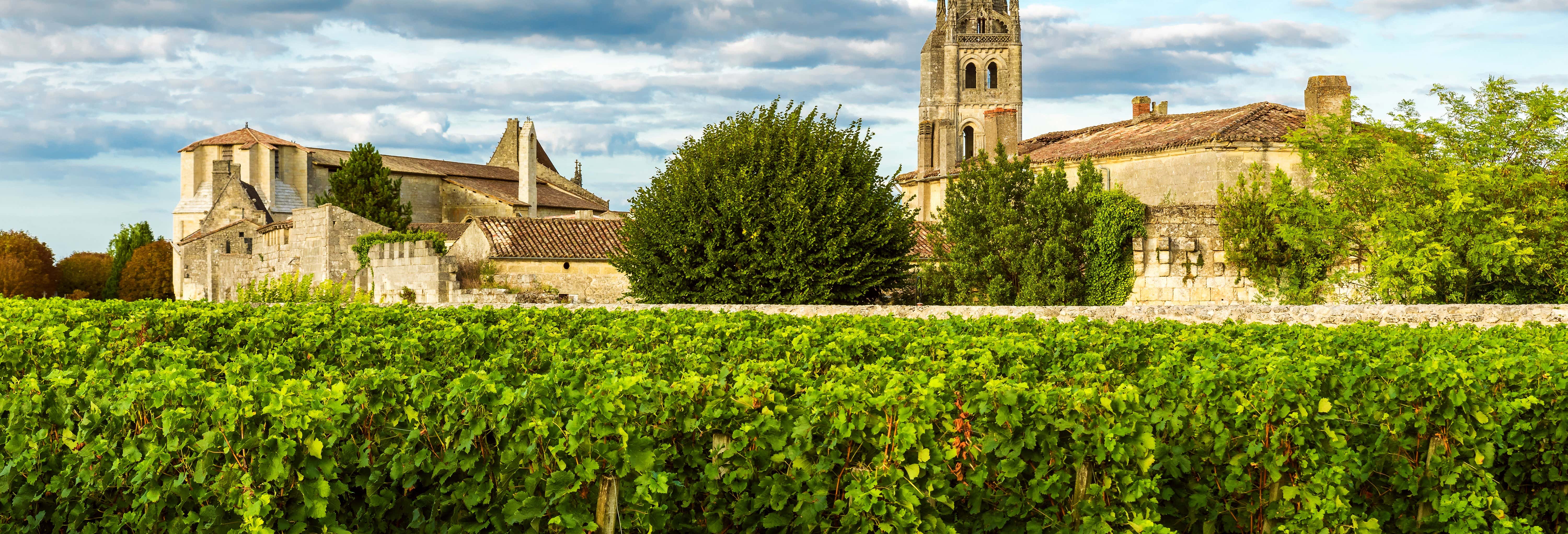 Excursion dans le Médoc et à Saint-Émilion