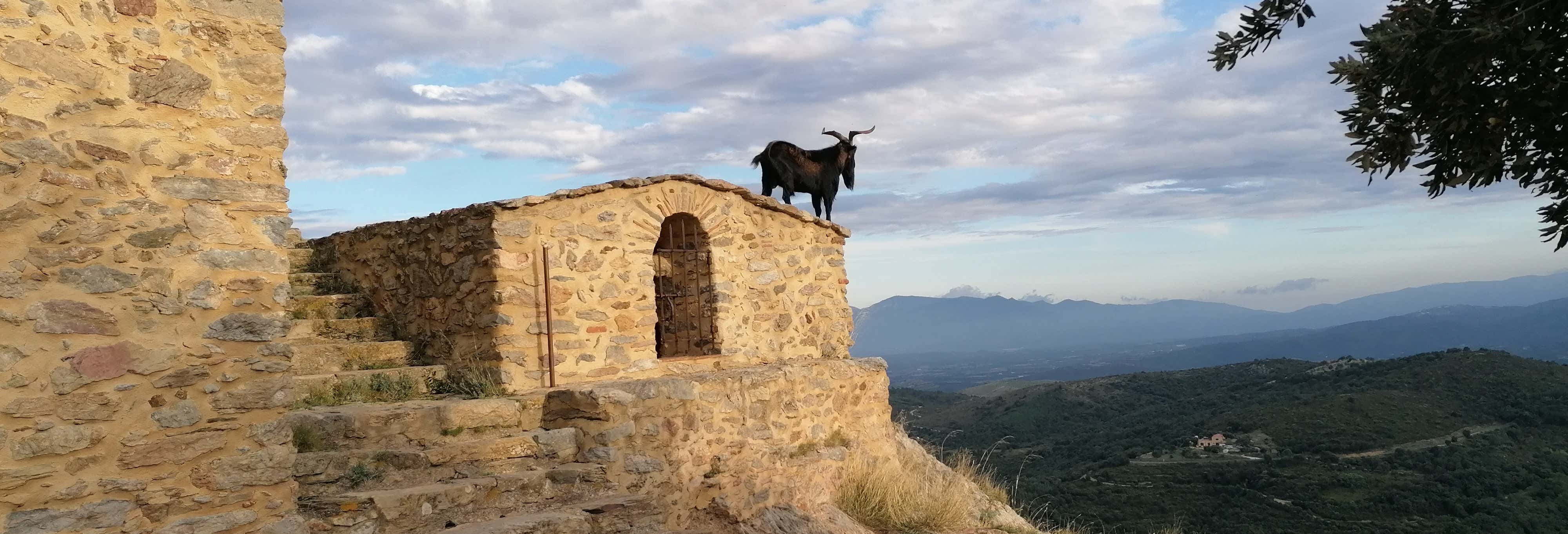 Visite privée de l'arrière-pays des Pyrénées Orientales en Citroën 2CV