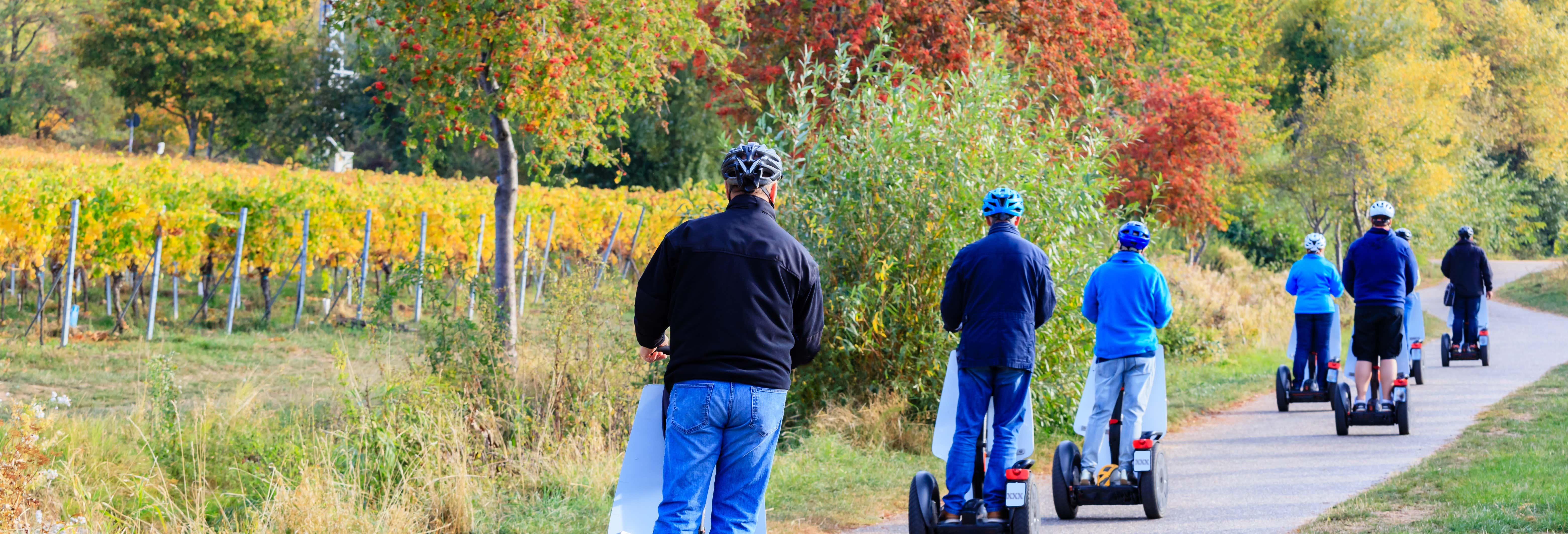 Segway Tour of Chignin + Wine Tasting