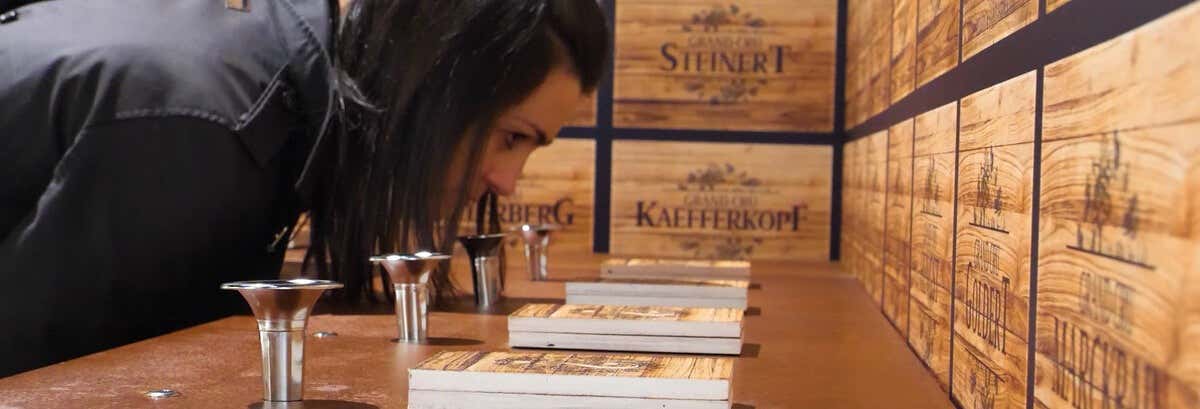 Alsace Wine Museum Tickets