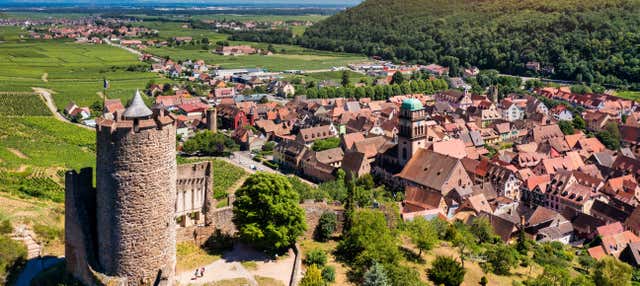 Tour por Alsacia + Cata de vinos