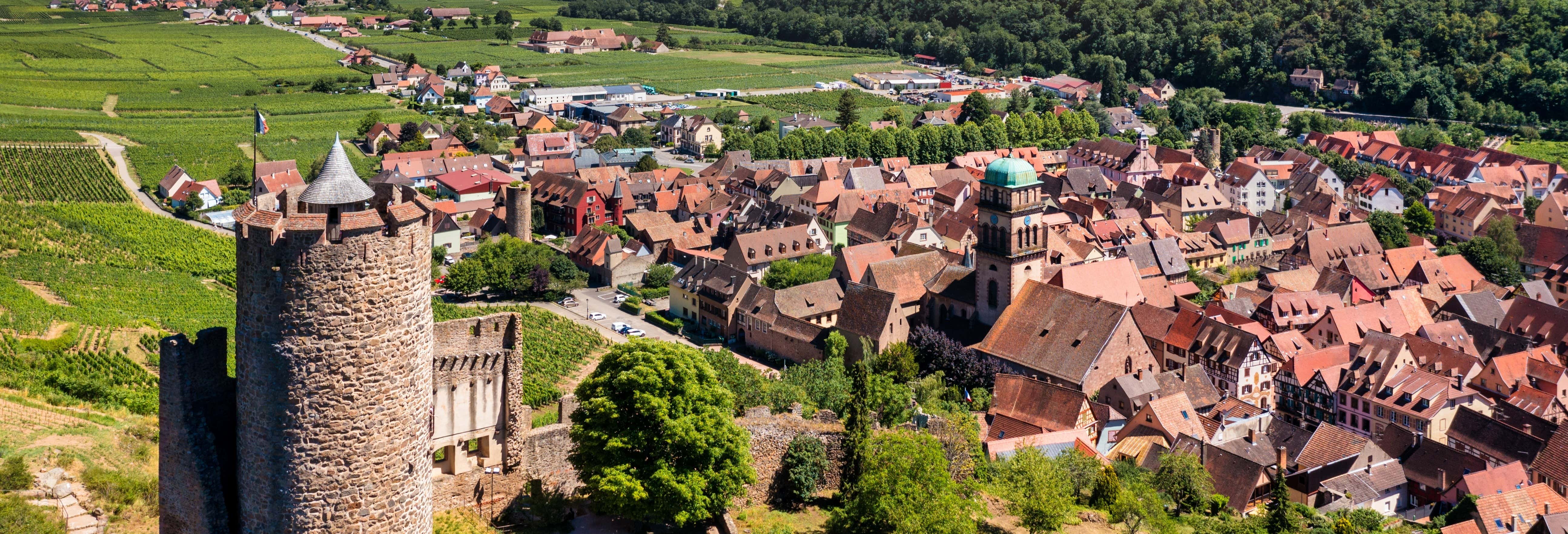 Tour por Alsacia + Cata de vinos