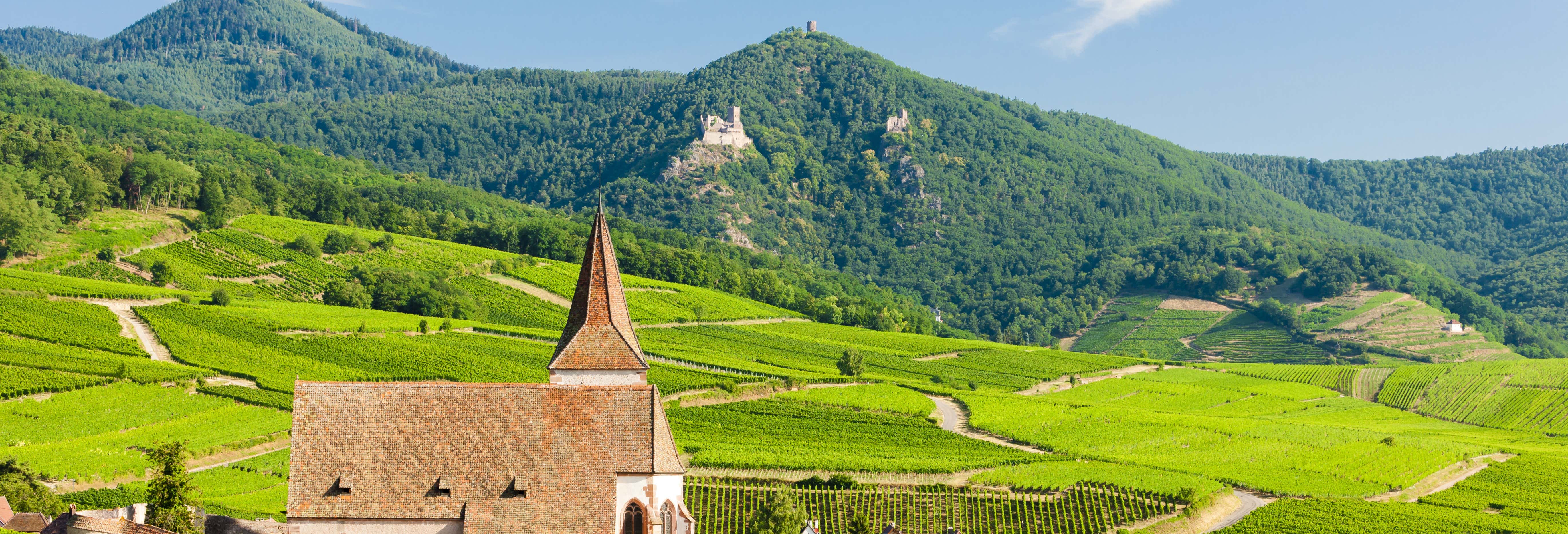 Tour completo dell'Alsazia