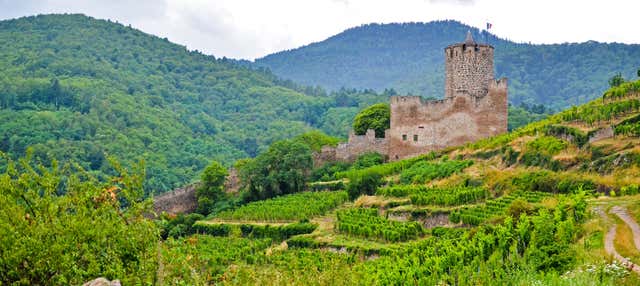 Tour di Eguisheim e Kaysersberg + Degustazione di vini