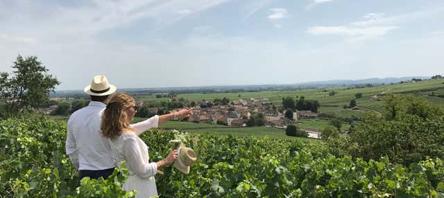 Tour del vino della Borgogna