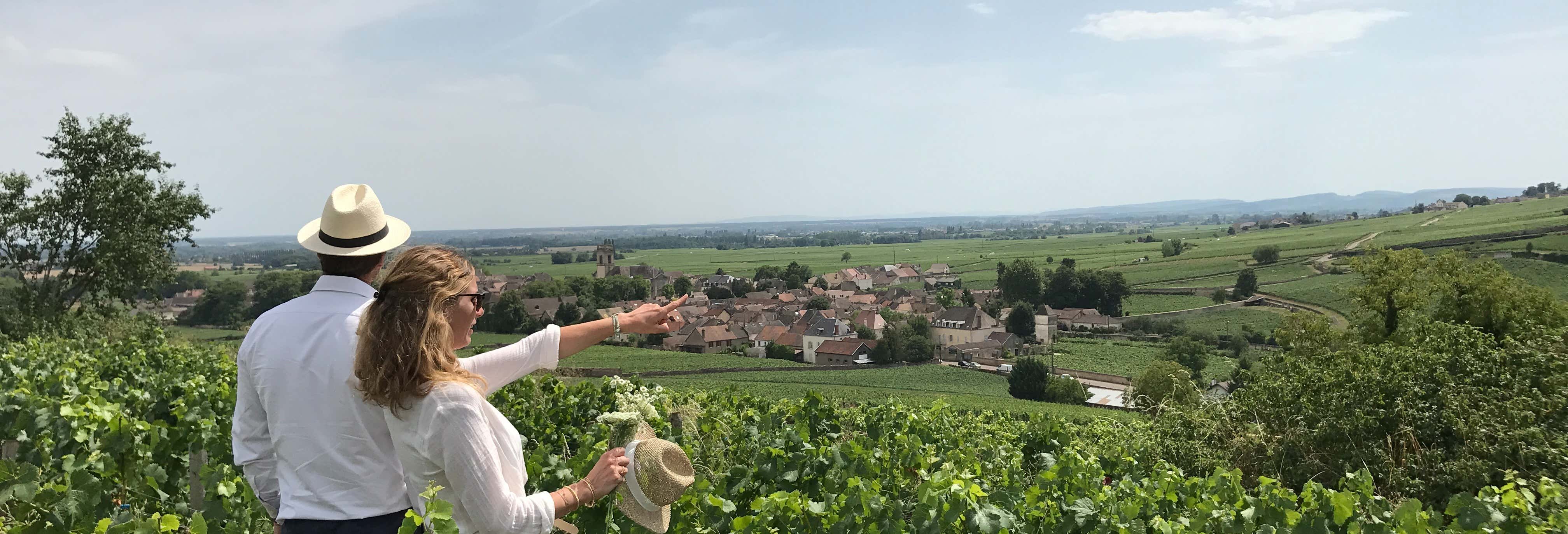 Burgundy Wine Tour