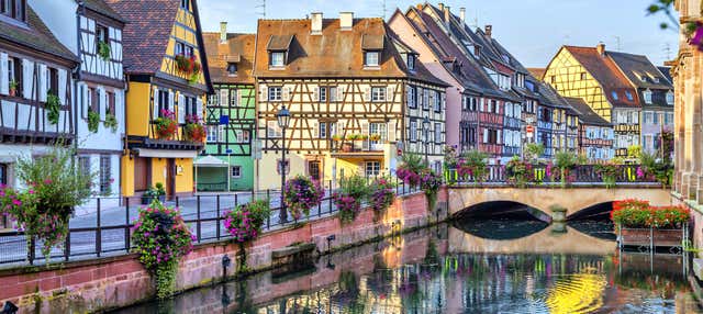 Tour dell'Alsazia + Castello di Haut-Koenigsbourg
