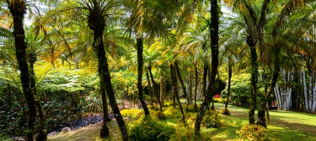 Transfer al Giardino Botanico di Balata