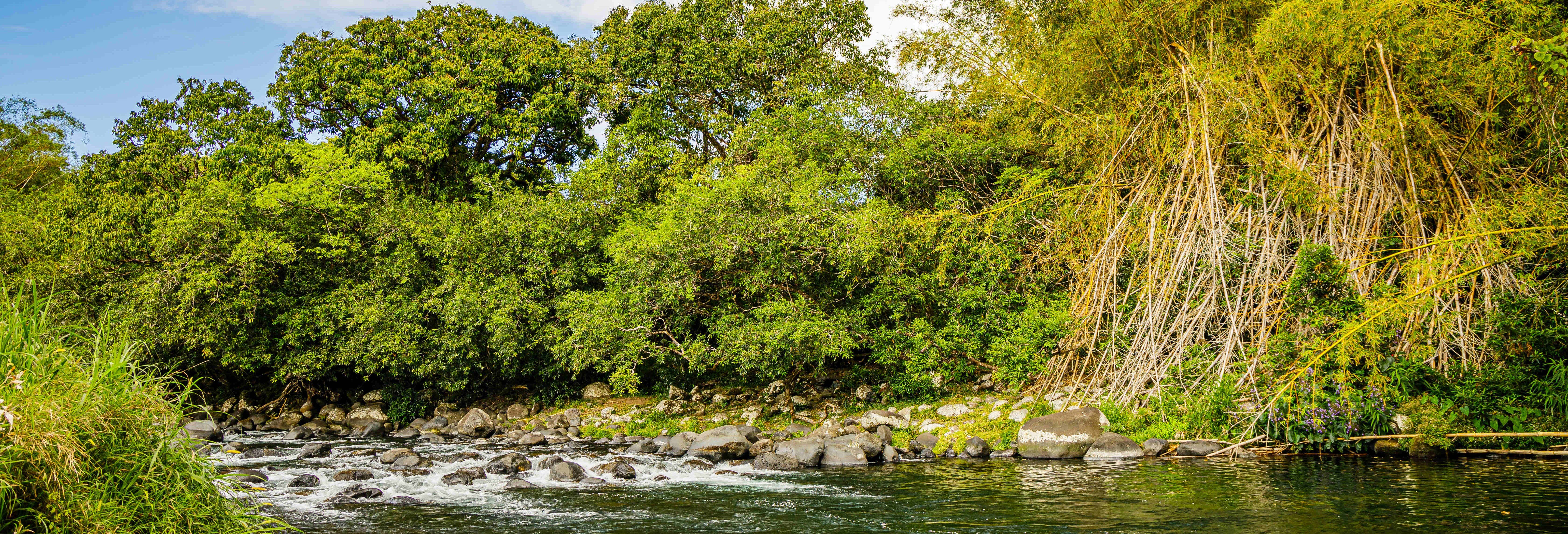 Marsouins River Kayak Rafting