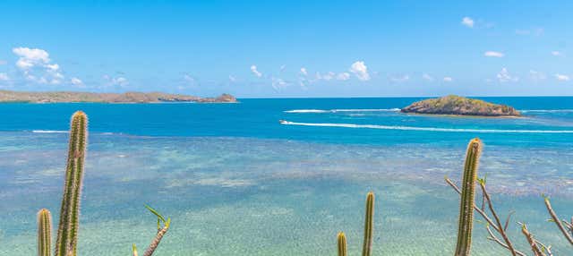 Giro in barca nella baia di Le Robert