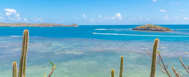 Balade en bateau dans la baie du Robert
