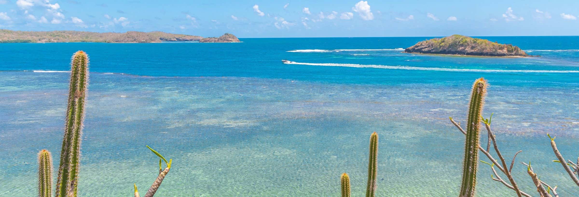 Giro in barca nella baia di Le Robert