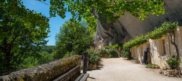 Biglietti per il sito paleolitico di Laugerie-Basse