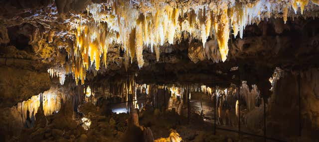 Visita guidata della Grotte du Grand Roc