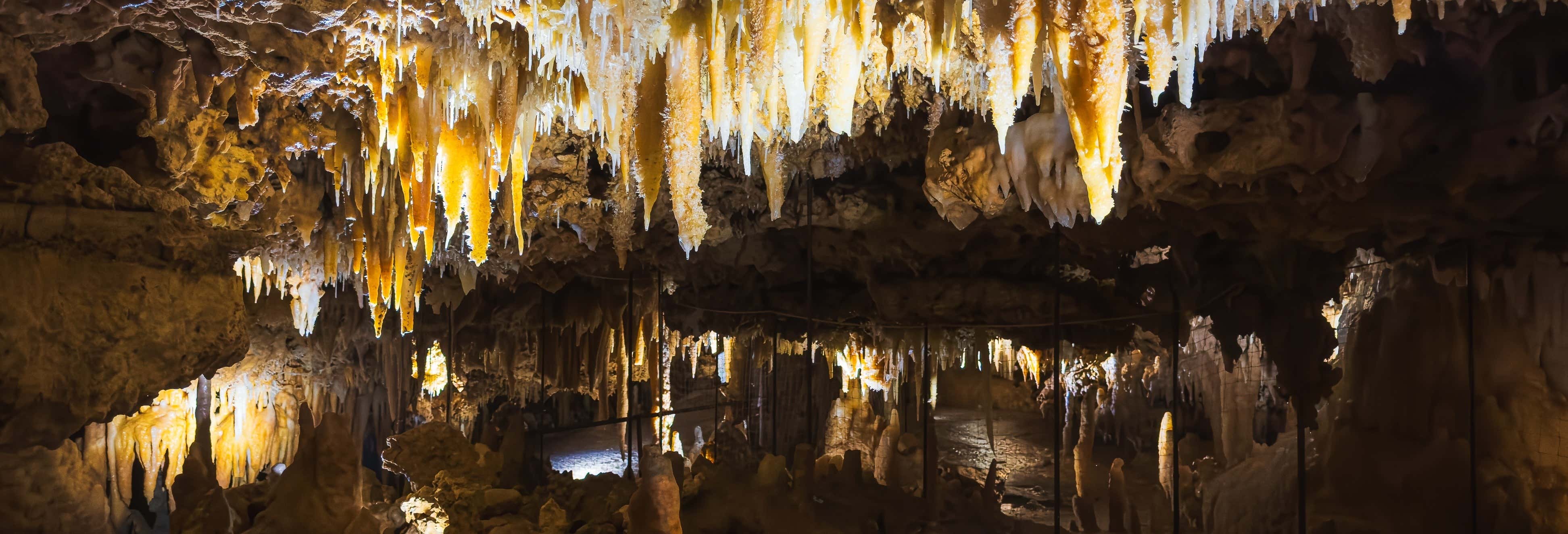 Visita guidata della Grotte du Grand Roc