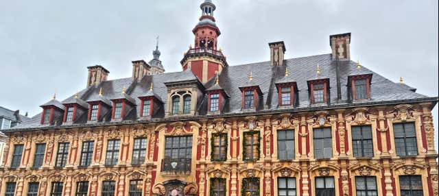 Visita guidata di Vieux Lille