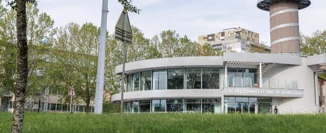 Billet pour la Cité des Climats et Vins de Bourgogne de Mâcon