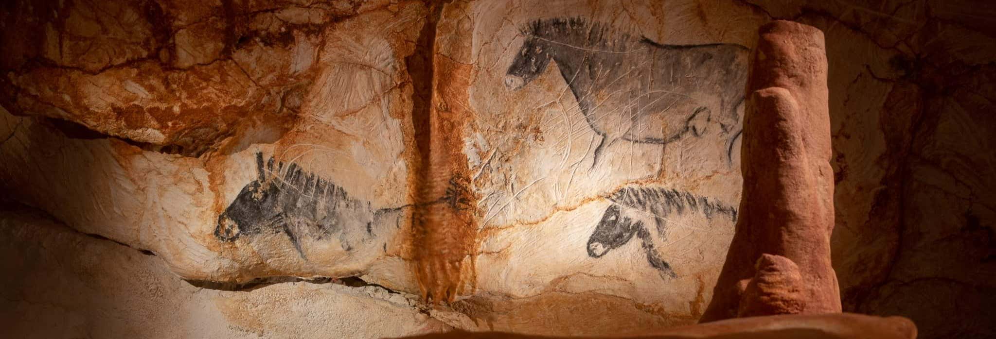 Biglietti per Cosquer Méditerranée con audioguida