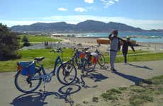Calanques National Park Electric Bike Tour