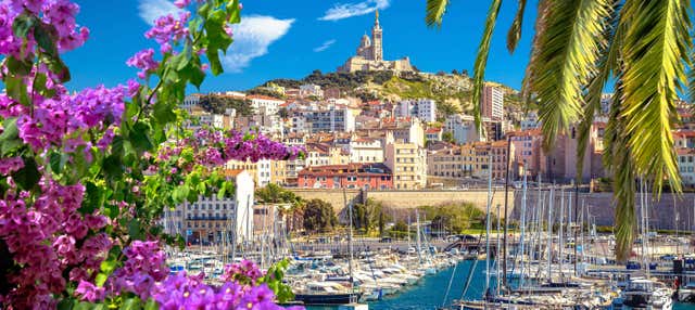 Tour privato di Marsiglia