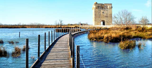 Escursione a Aigues-Mortes e alla Torre della Carbonnière
