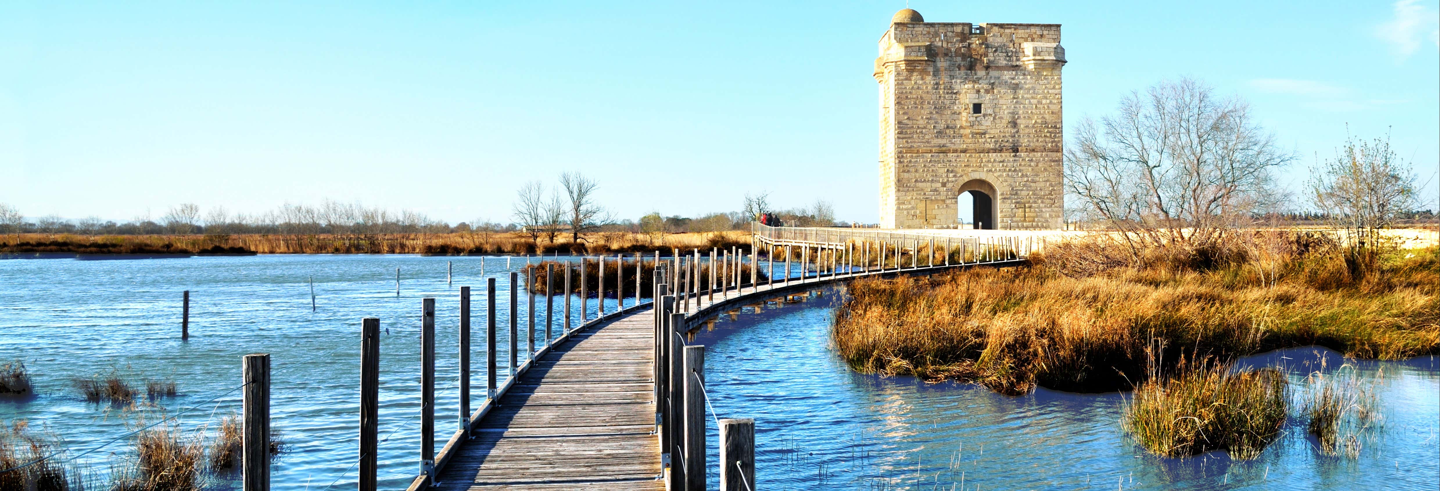Escursione a Aigues-Mortes e alla Torre della Carbonnière