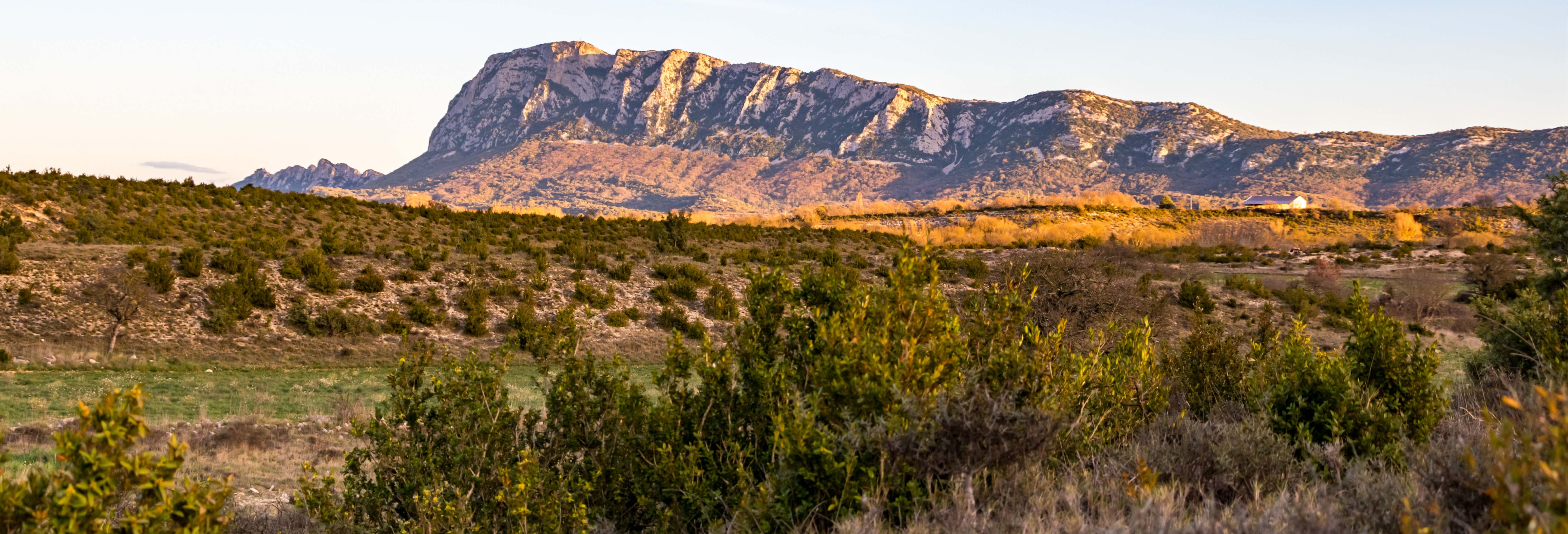 Pic Saint-Loup Excursion + Wine Tasting