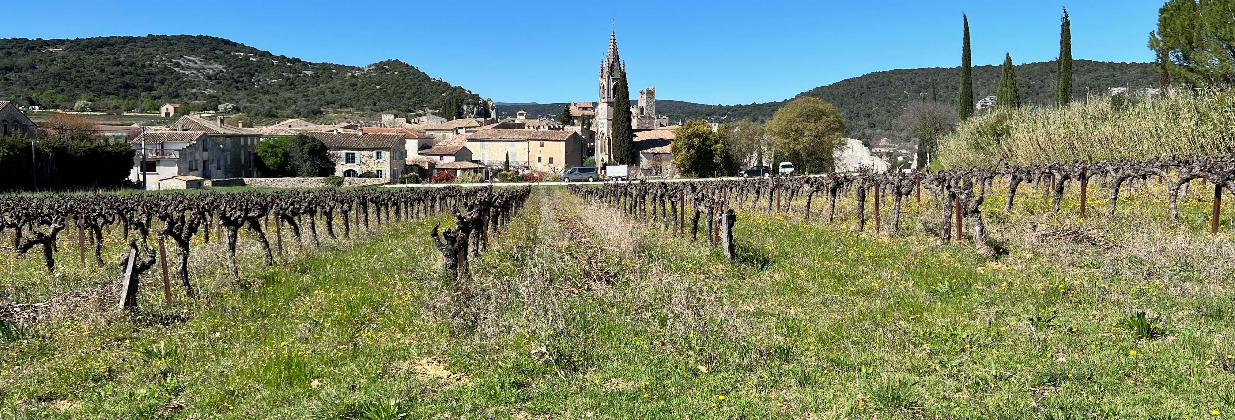 Tour del vino e del tartufo nella valle del Rodano
