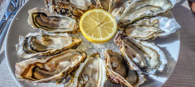 Tour del vino e dell'ostrica