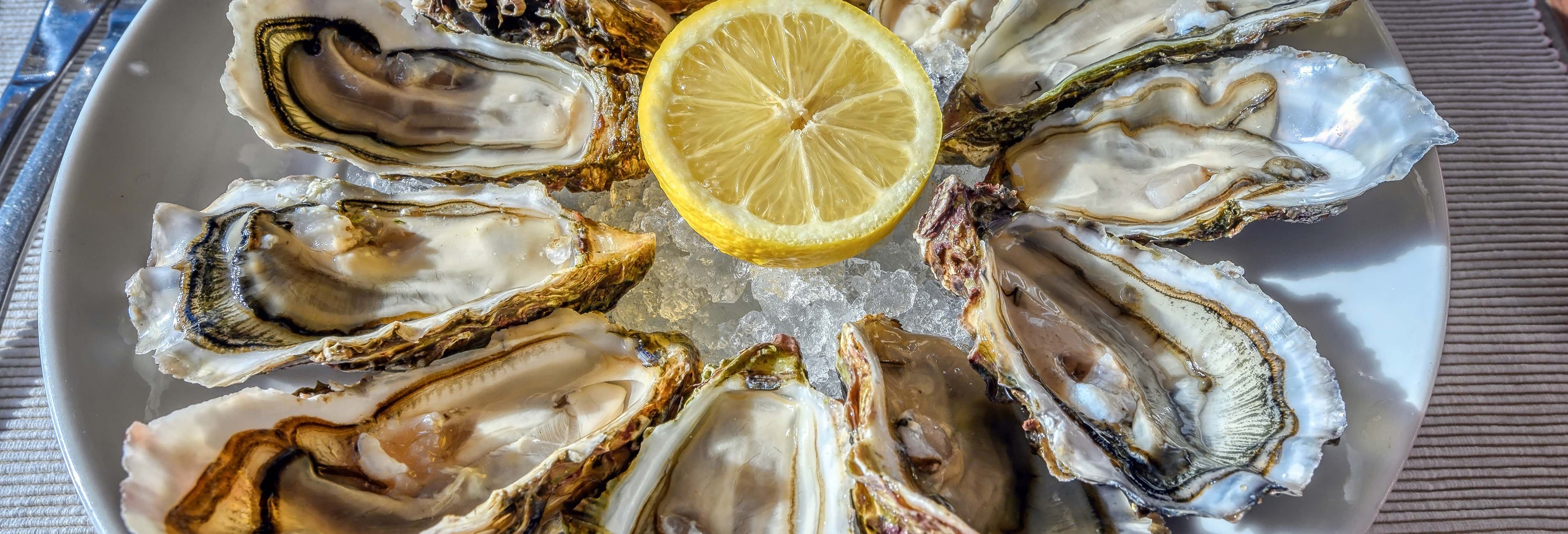 Montpellier Wine + Oyster Tasting Tour