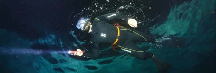 Night Snorkelling in Moorea