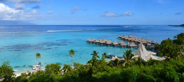 Mo'orea Private Tour