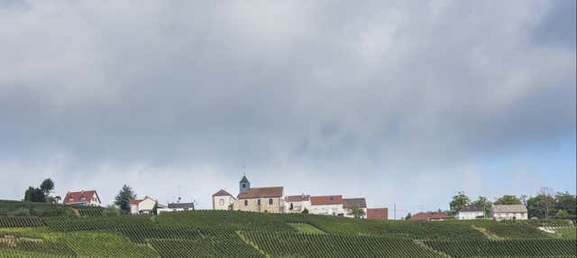 Tour dei vigneti di Mutigny