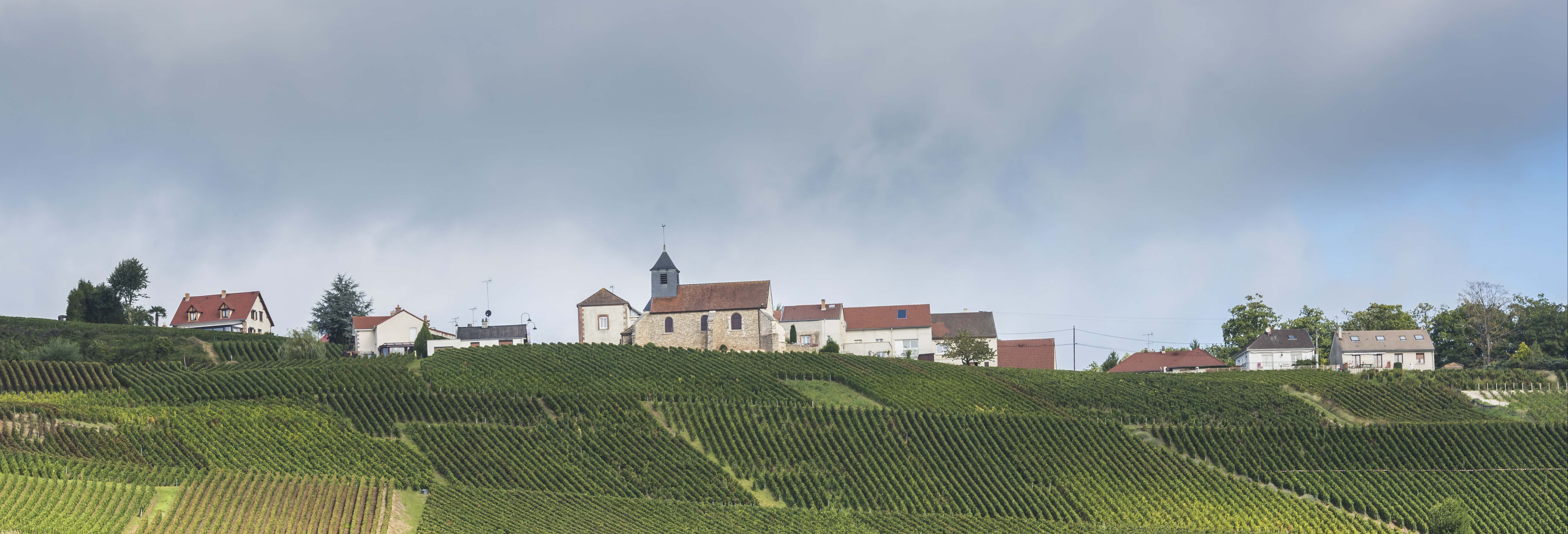 Mutigny Vineyards Tour