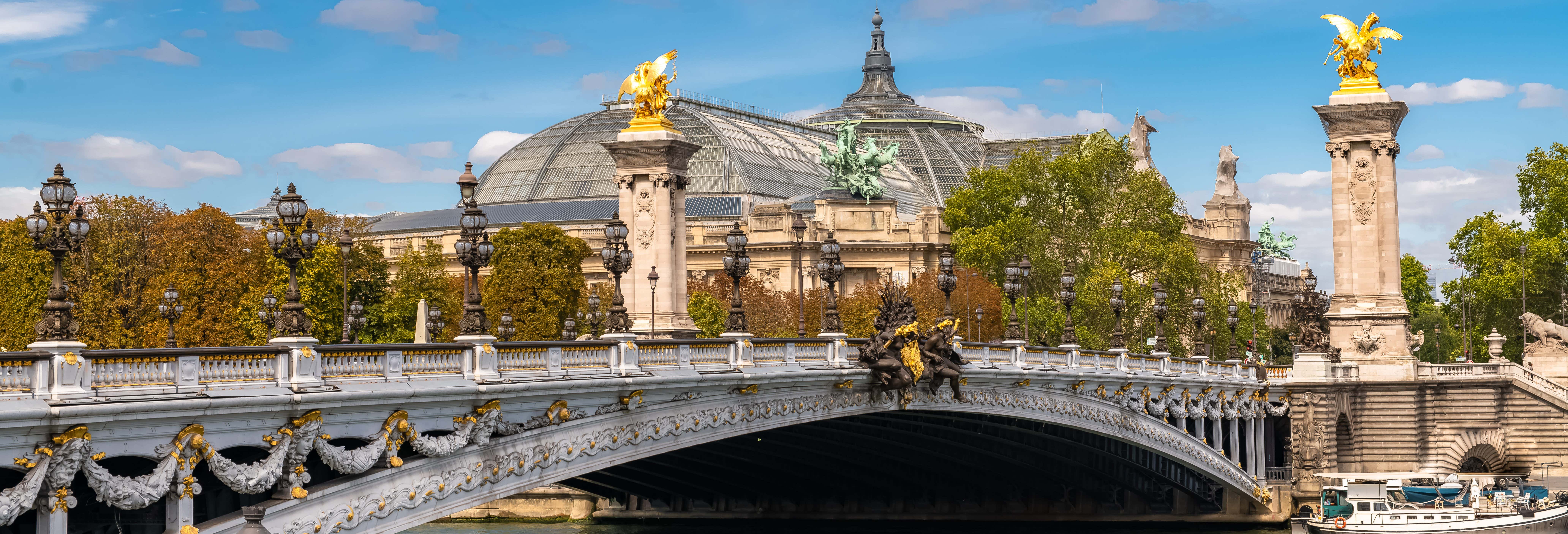 Alquiler de coche con chófer en París
