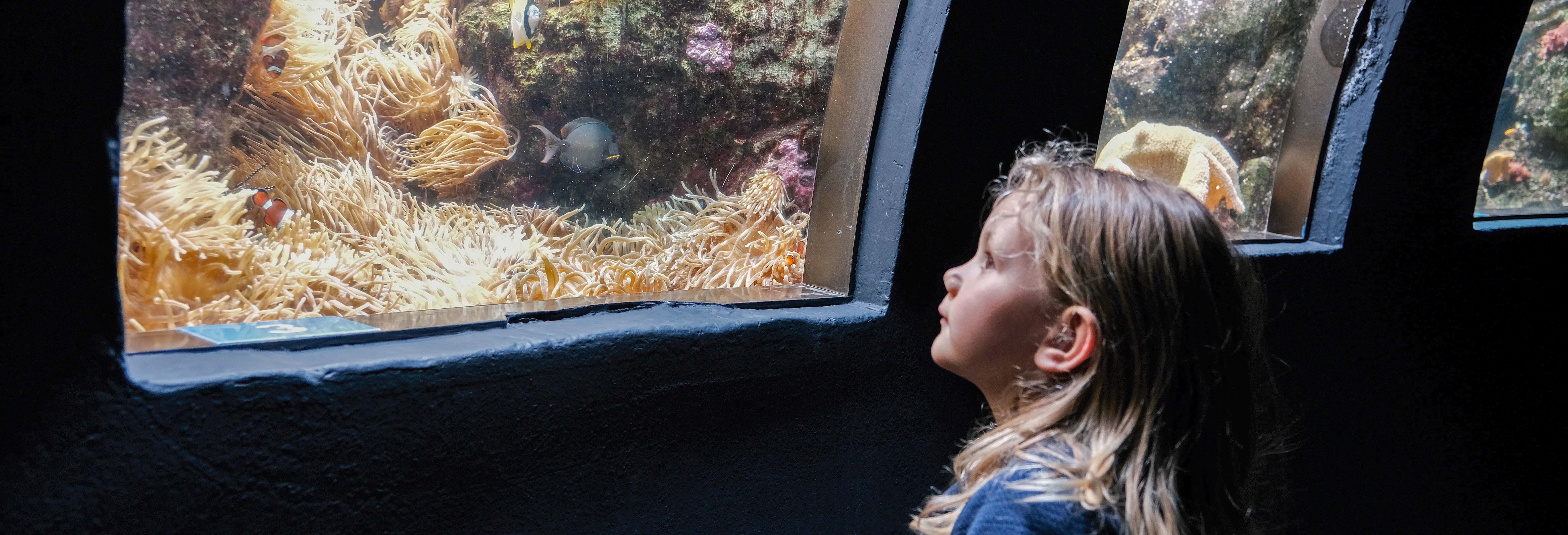 Biglietti per l'Acquario di Parigi