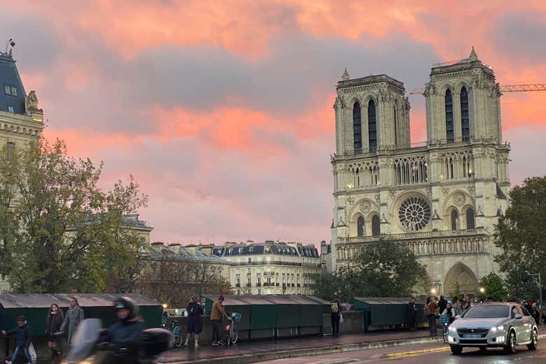 Tour por el exterior de la catedral de Notre Dame + Entrada a la cripta