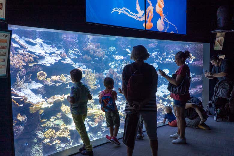 Entrada al Aquarium de París
