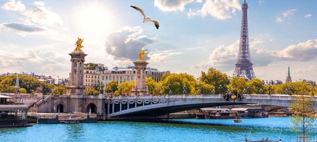 Entradas a la 3ª planta de la Torre Eiffel + Crucero por el Sena