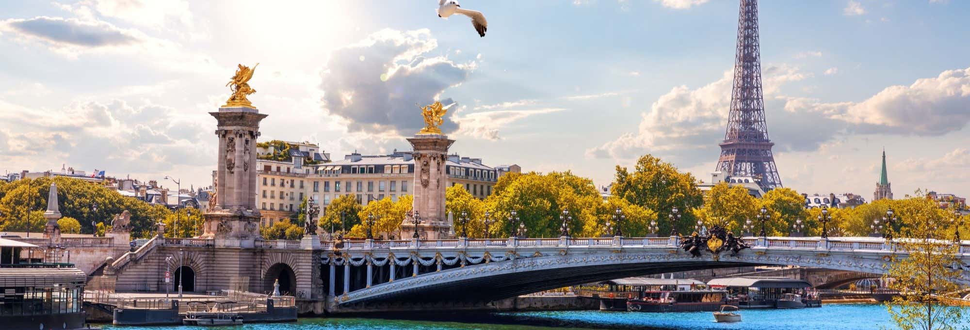 Entradas a la 3ª planta de la Torre Eiffel + Crucero por el Sena