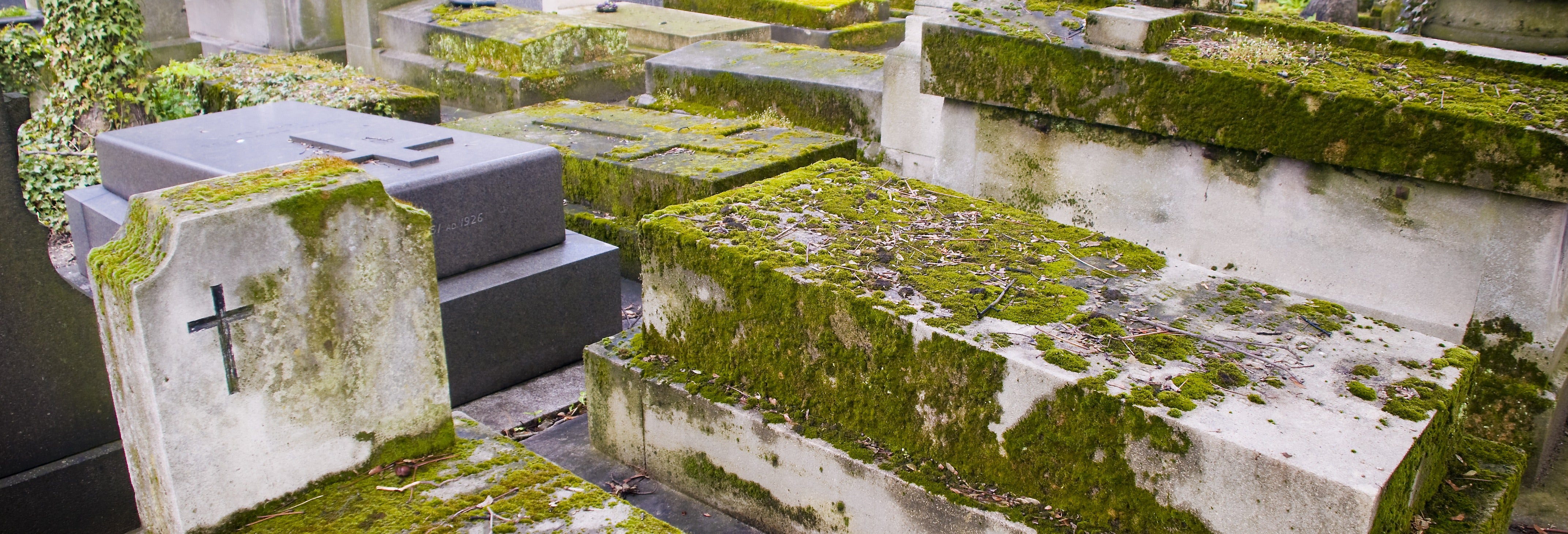 Tour pelo cemitério Père Lachaise