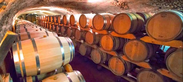 Visita della cantina Rombeau