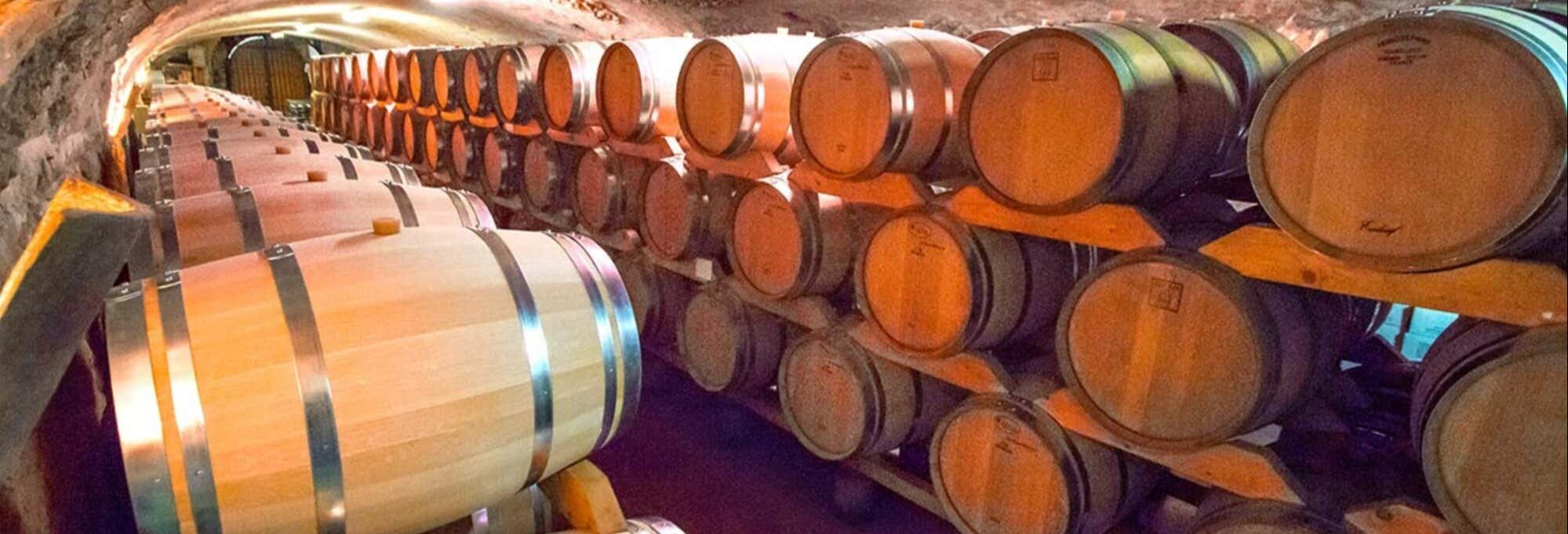 Visita della cantina Rombeau